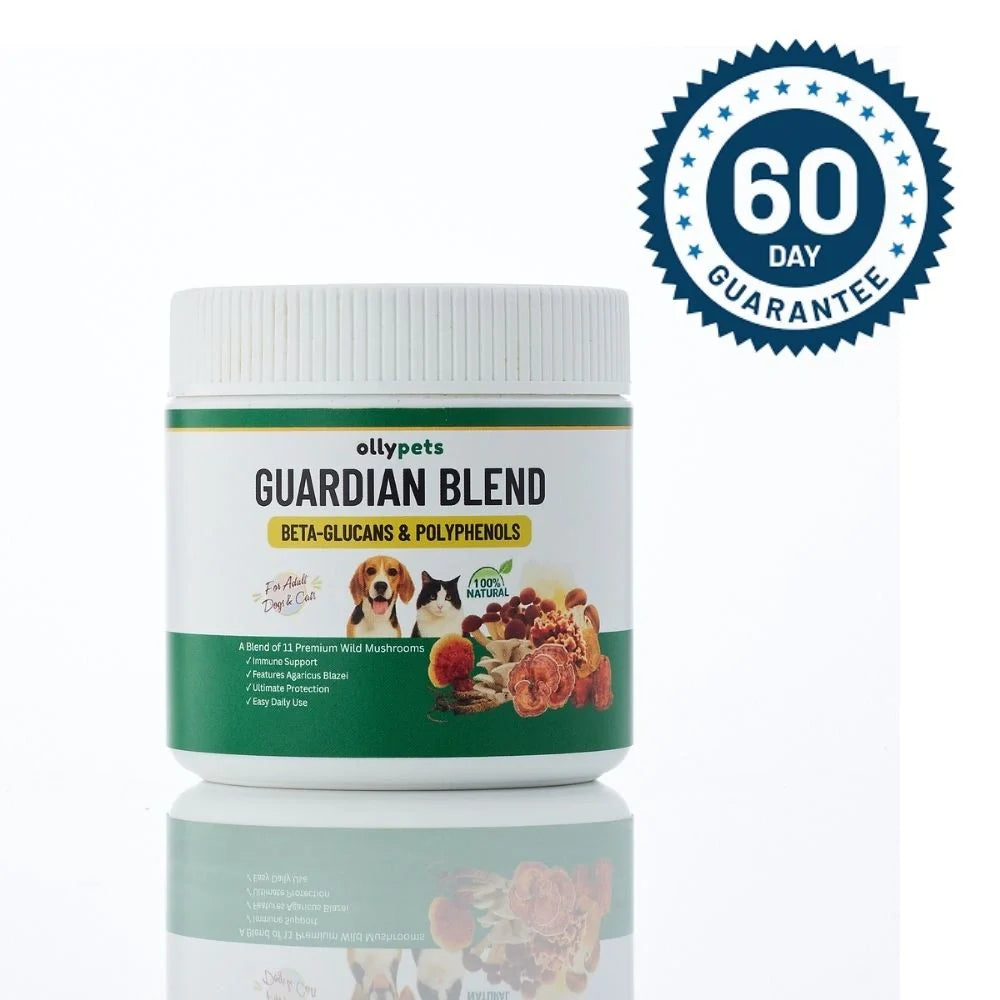 Guardian Blend