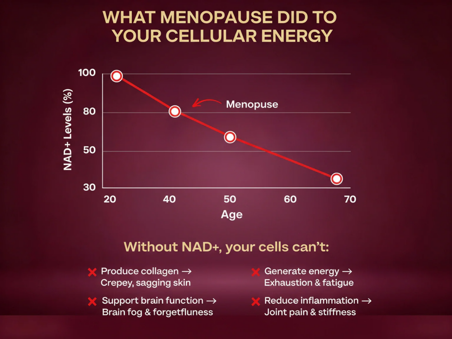 CelluNAD+ - Cellular Restoration Single (One Time)