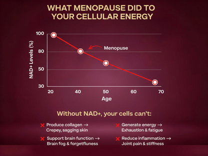 CelluNAD+ - Cellular Restoration Single (One Time)