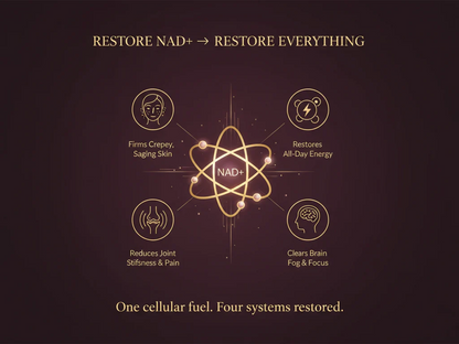CelluNAD+ - Cellular Restoration Single (One Time)