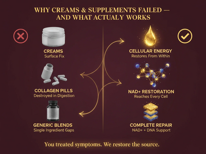 CelluNAD+ - Cellular Restoration Single (One Time)