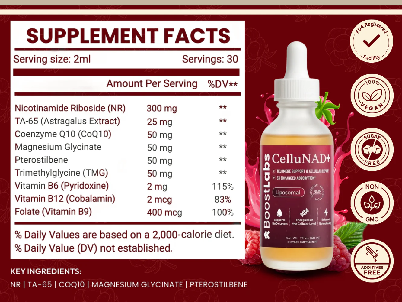 CelluNAD+ - Cellular Restoration Single (One Time)